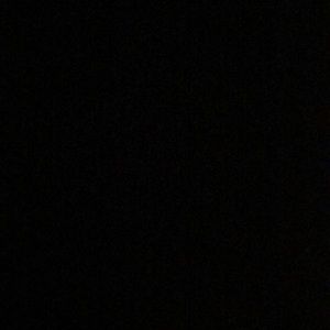 Meet your Posher, Cheyenne